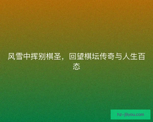 风雪中挥别棋圣，回望棋坛传奇与人生百态